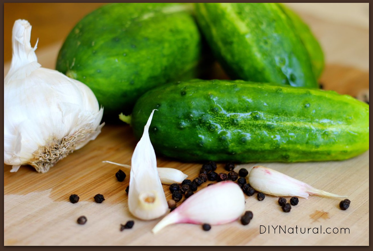Refrigerator Pickles How To Pickle Cucumbers 1